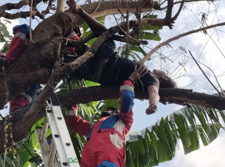 Karena Ini, Nelayan Pencari Ikan Tak Sadar Tertidur di Pohon Hingga Dievakuasi Petugas
