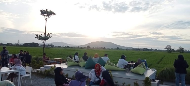 Menikmati Senja, Pegunungan, Sawah di Wisata Tasikardi dari Kafe Niscala