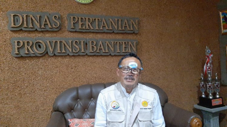 Banten Surplus Beras tapi Harganya Merangkak Naik