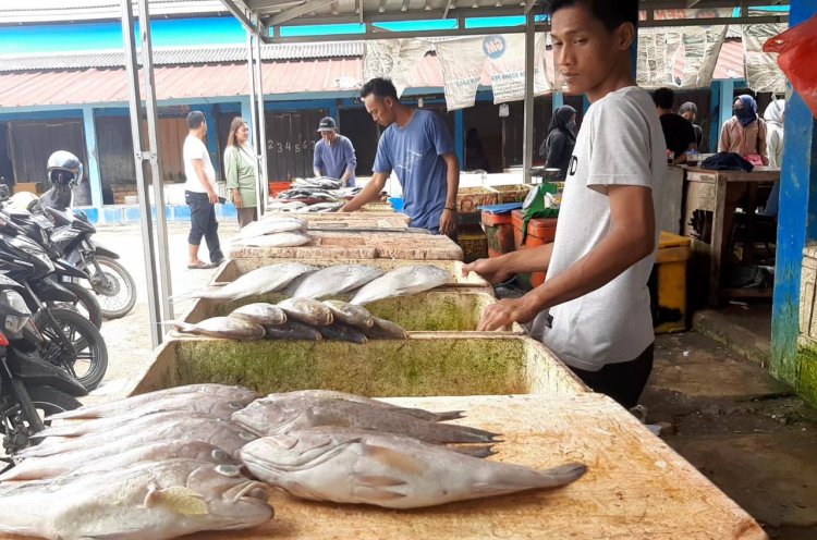 Berburu Ikan Segar di Pelelangan Karangantu