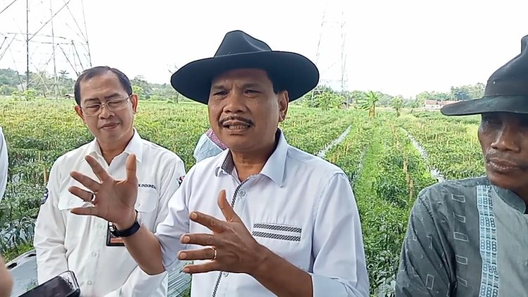 Upaya Pemkot Serang Menekan Inflasi Daerah Lewat Panen Produk Pertanian
