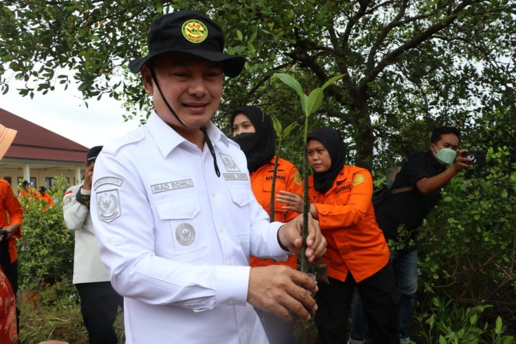 Pesisir Utara Tangerang Ditanami Mangrove, Wabup : Demi Kenyamanan Lingkungan dan Sosial