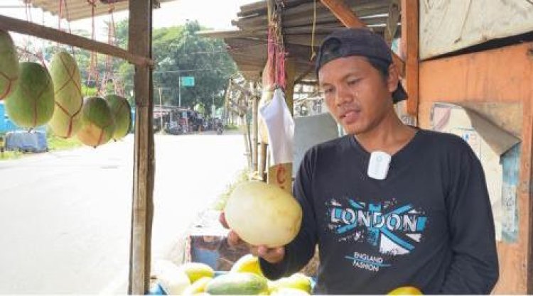 Gagal Panen Sebabkan Harga Timun Suri di Kota Serang Melambung