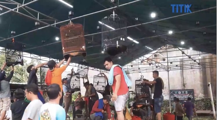 Seru Senang Ngabuburit sambil Main Burung Kicau