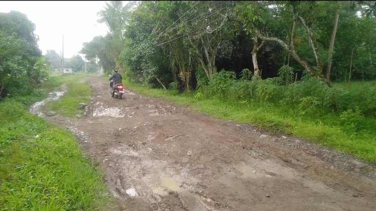 Derita Warga Kubang Kampil Melintasi Jalan Bak Kubang Kebo