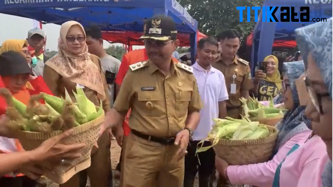 Varietas Jagung Bima dan Arumba Jadi Andalan Pemkot Tangerang Gelar Panen Raya