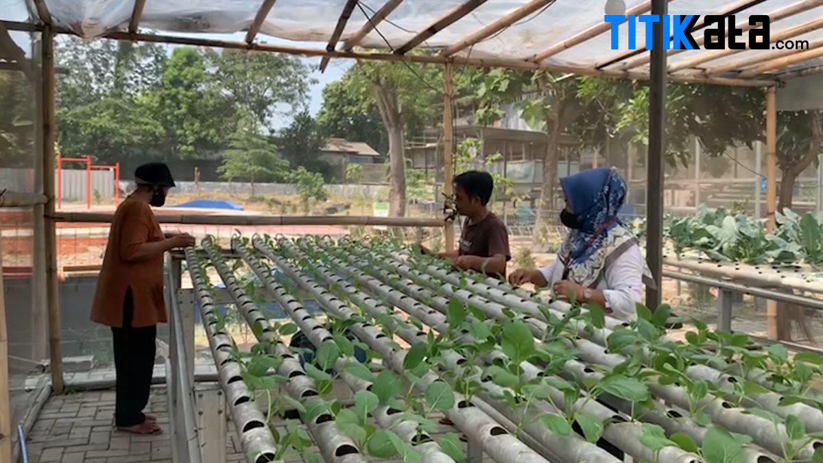 KWT Anthurium Kota Tangerang Berharap Bisa Dipermudah Memasarkan Hasil Panen