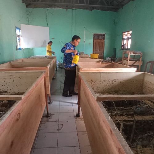 Warga Carenang Andalkan Budidaya Jangkrik Sebagai Sumber Penghasilan
