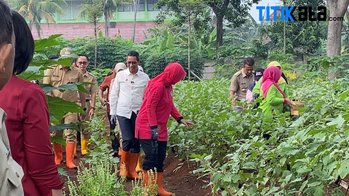 Panen Raya di Jakarta Timur, Heru Budi: Bisa Jadi Contoh Untuk Wilayah Lain