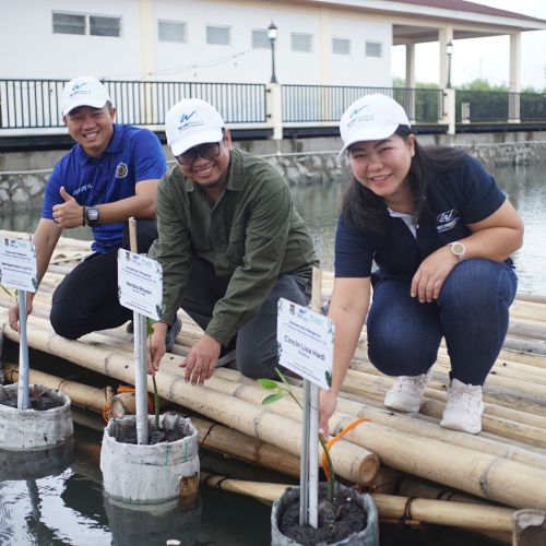 WOM Finance Tanam 1.000 Pohon Mangrove di Tanjung Pasir Tangerang