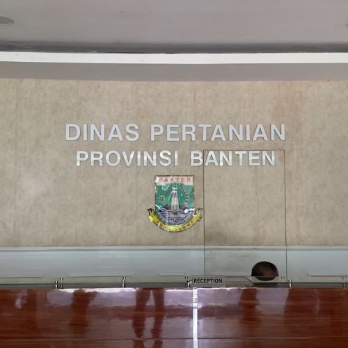 Kemarau Panjang, Ribuan Hektare Lahan Pertanin di Banten Terancam Kekeringan