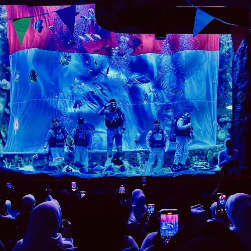Bendera Merah Putih Raksasa Berkibar di Aquarium BXSea