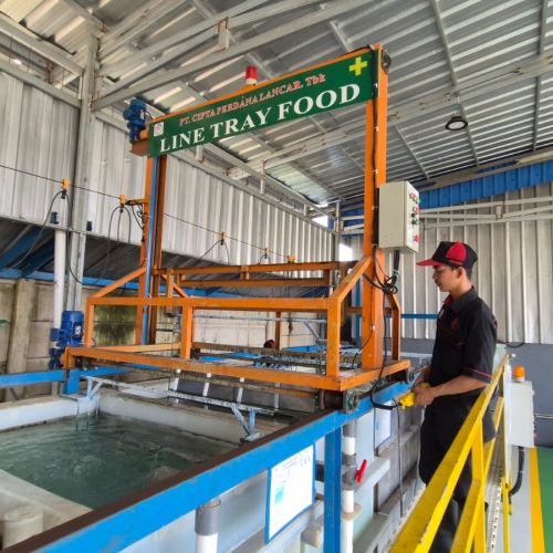 Produk 100% Indonesia, Food Tray Lokal Halal Cipta Perdana Lancar (PART) Penuhi Dapur MBG