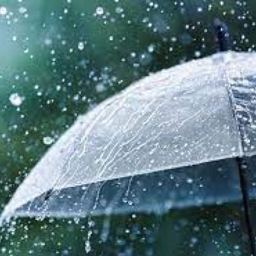 Musim Hujan 2025 Datang Lebih Awal! BMKG Ungkap Dampak Besar bagi Pertanian, Banjir dan Penyakit