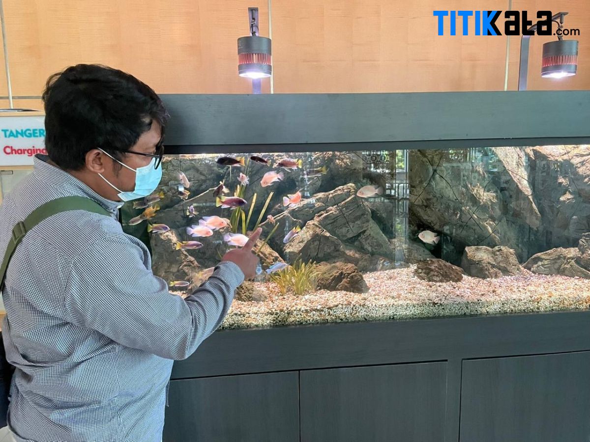 Pemkot Tangsel Habiskan Ratusan Juta untuk Sewa Aquarium