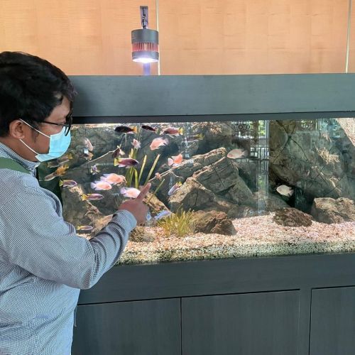 Pemkot Tangsel Habiskan Ratusan Juta untuk Sewa Aquarium
